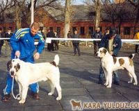 lyuter_2