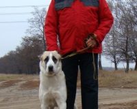 Ойгуль перед