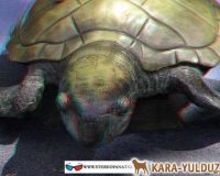 3d_stereo_anaglyph_stereofanat.com_109