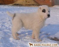 1мальчик 2мал