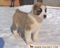 2мальчик (3)3мал