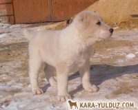 девочка1 (2)мал