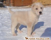 девочка1 (3)мал