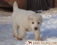 1девочка (2)мал