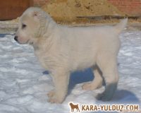 девочка2мал