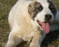 Фелиция лежа1