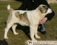 Фелиция Гайрат