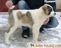 Фелиция Гайрат