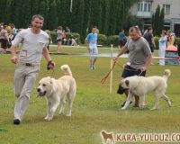 Ямал и Яшин