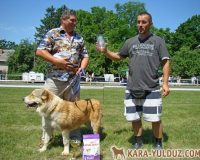 Вагиз Кара Юлдуз