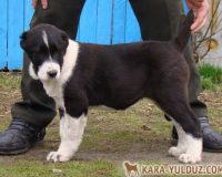 Зухра 3 мес1