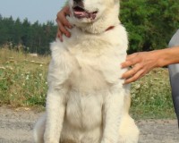 Тейки 6 мес