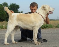 Тейки1