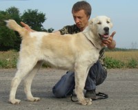 Тейки2