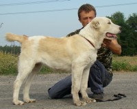 Тейки3