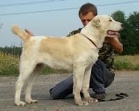 Тейки4