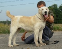 Тейки6