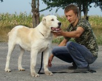 Тейки7