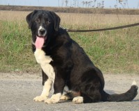 Шаня7