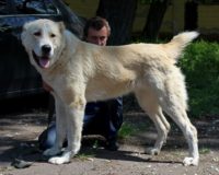 zhamala