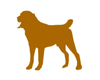cropped-logo-1.png