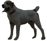 logo2