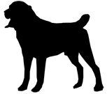 logo3
