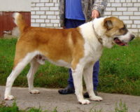 Жакс7