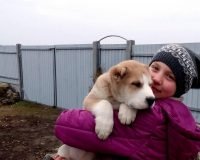 Цолвард Кара Юлдуз