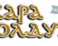 logo-kara-yulduz