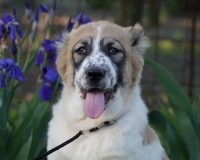 Куба гол лучш3