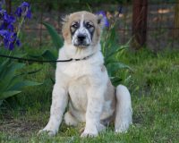 Куба сидя лучш