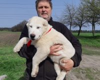 279222693_5712167855476405_2526207013321640074_n