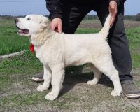 279284170_5712167308809793_5612234291406045275_n