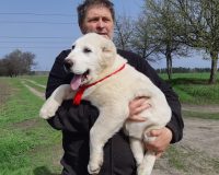 279299708_5712167715476419_3932894559241685318_n