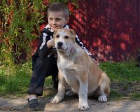 Нуджум сидя